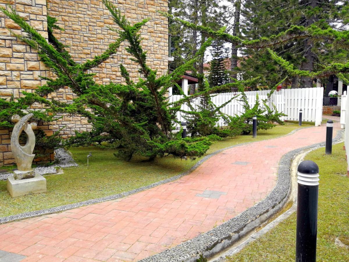 Century Pines Resort Κάμερον Χάιλαντς Εξωτερικό φωτογραφία