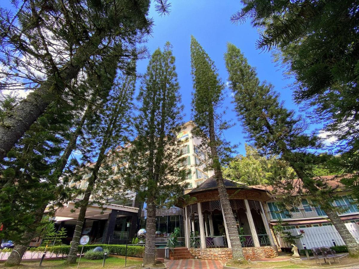 Century Pines Resort Κάμερον Χάιλαντς Εξωτερικό φωτογραφία